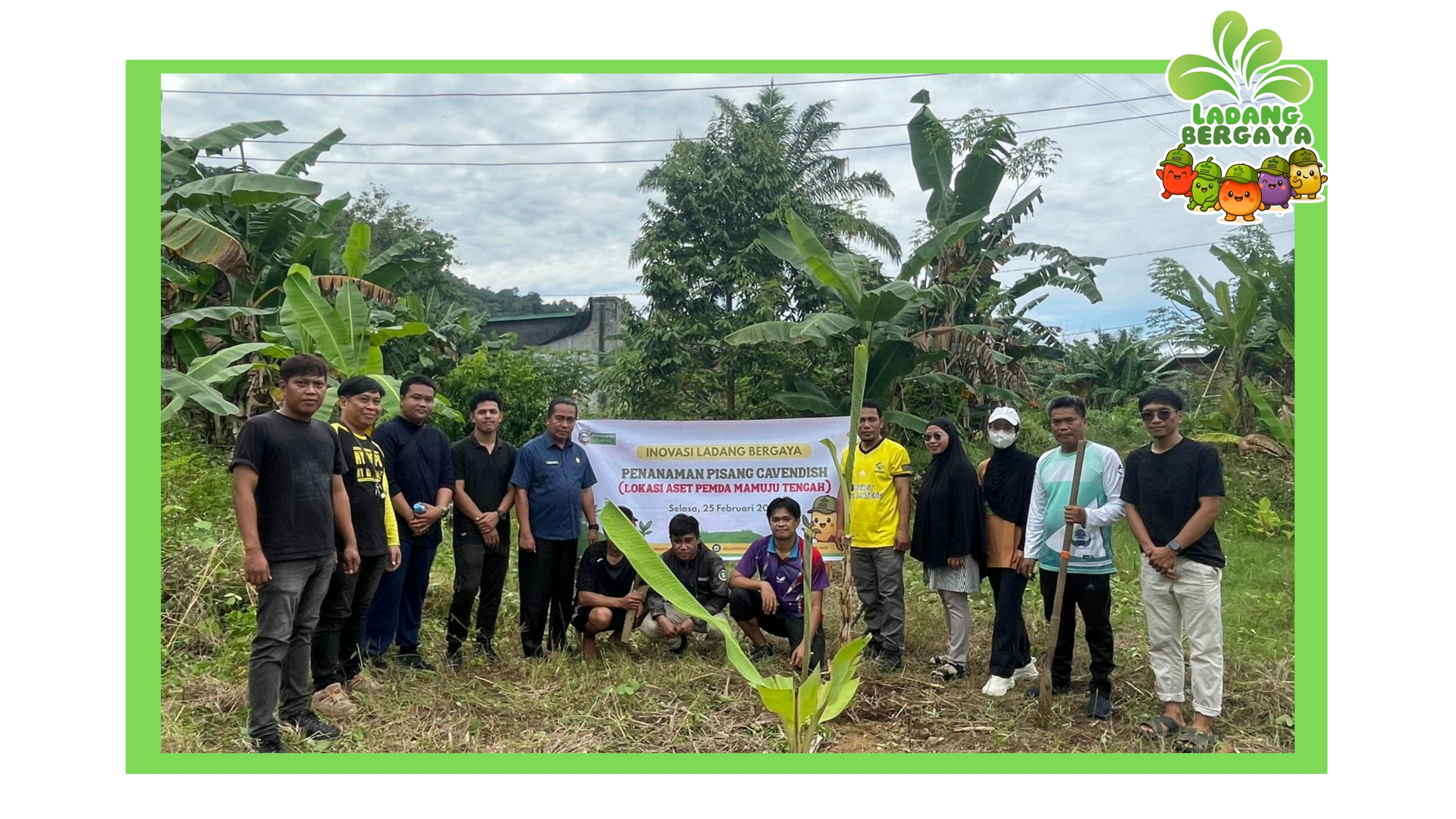 Langkah Awal Ladang Bergaya: Penanaman Perdana Pisang Cavendish dilahan Milik Pemda